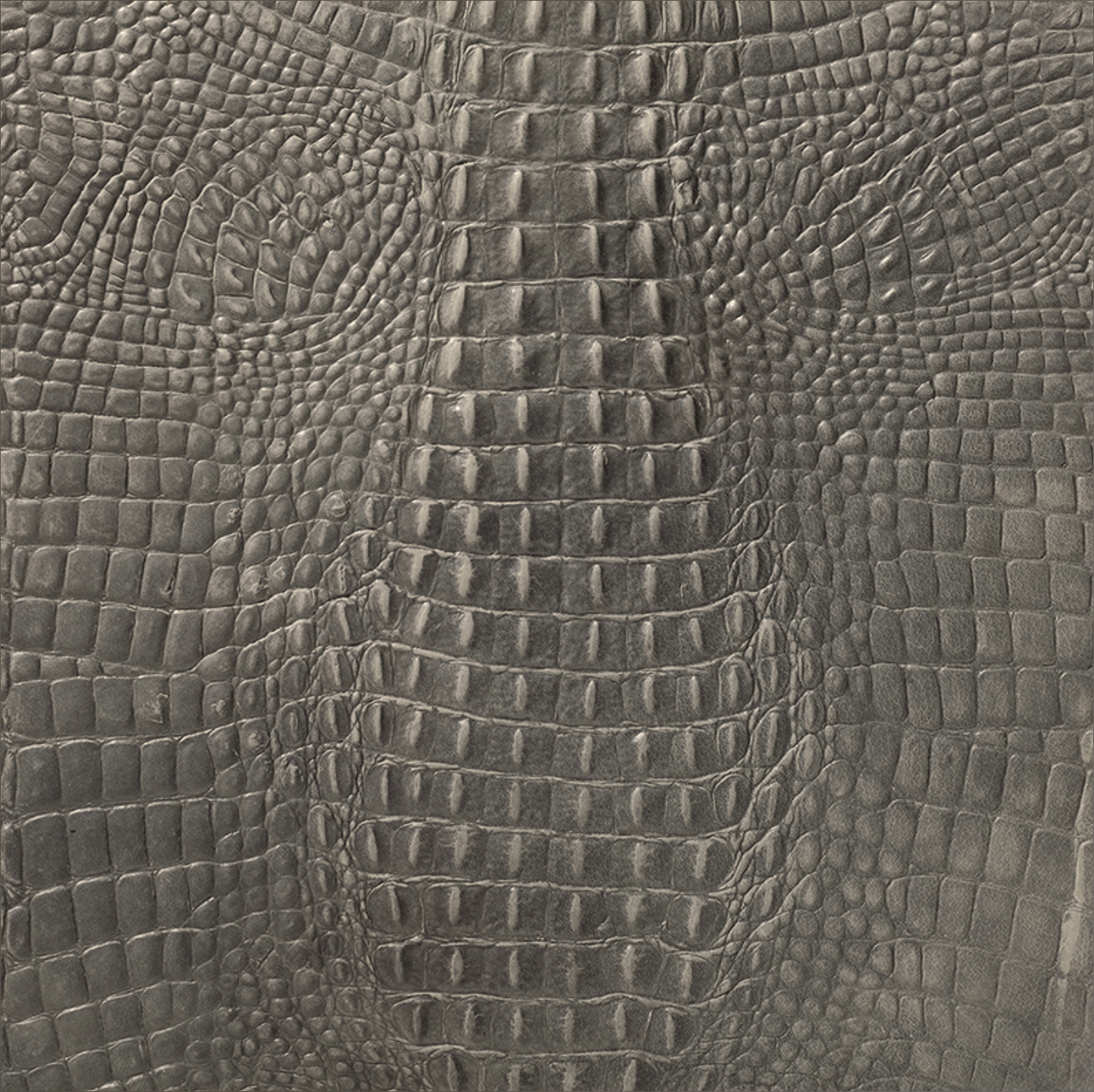 Akoestische panelen van Enzo Pellini